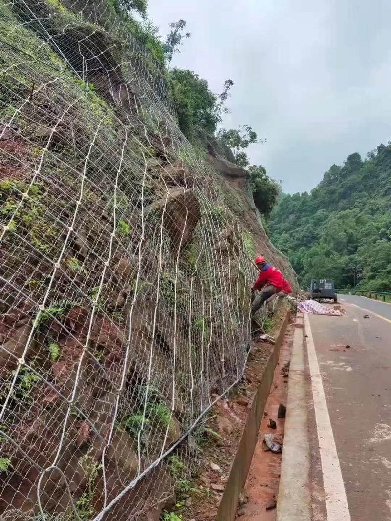 蚌埠蚌山区边坡绿化防护